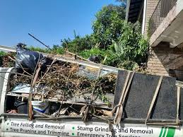 Best Carpet Removal and Disposal  in Shinnston, WV